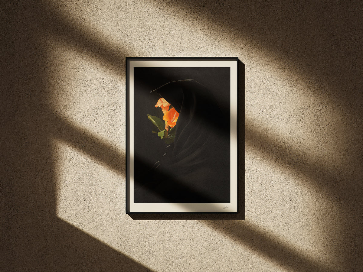 EL MISTERIO DE LAS FLORES (Limited edition 25/25)